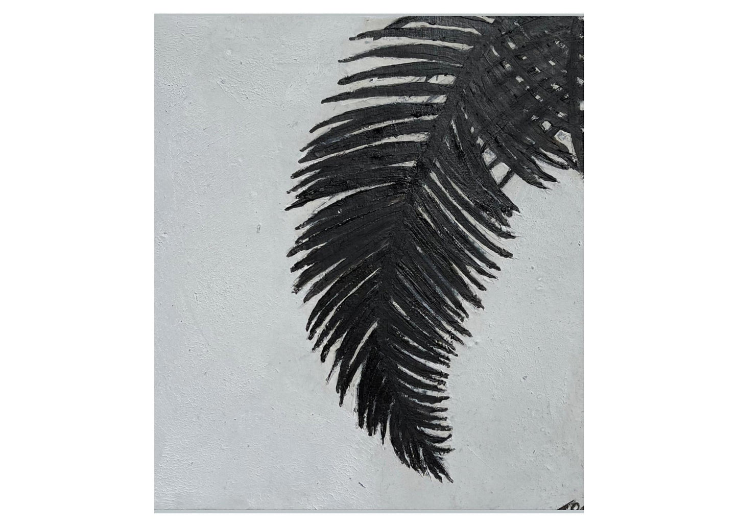 Palm Series